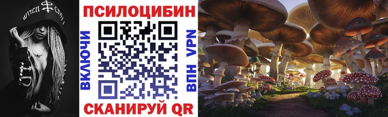 купить Павловская Галлюциногенные грибы мухоморы